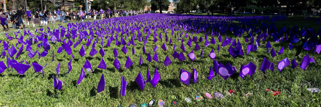 Project Impact Flags on a Field